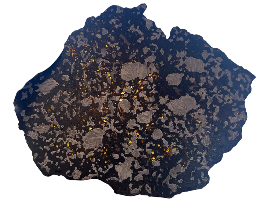 129.24g Steinbach IVA Anomalous Silicated Iron Meteorite slice