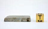 9.6g RUPOTA Historical Observed Fall L 4-6 Chondrite Meteorite