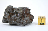 55.75g Amazing Complete SERICHO Pallasite Meteorite