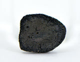 0.26g C2-ung TARDA Carbonaceous Chondrite Oriented Meteorite