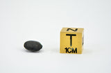 0.48g C2-ung TARDA Carbonaceous Chondrite Oriented Meteorite