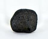 0.49g C2-ung TARDA Carbonaceous Chondrite Oriented Meteorite