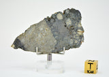 13.90g Eucrite Melt Breccia Slice I HED I Taoudenni 005