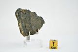 13.90g Eucrite Melt Breccia Slice I HED I Taoudenni 005