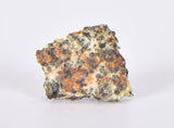 1.367g Erg Chech 002 Ungrouped Achondrite Meteorite Slice