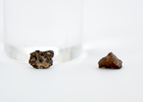 0.024g and 0.022g Oued Namous 001 I Angrite Volcanic Meteorite fragments