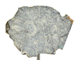 36.26g Eucrite Breccia Slice I HED Northeast Africa 110