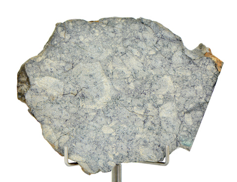 36.26g Eucrite Breccia Slice I HED Northeast Africa 110