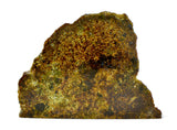 40.19g Olivine Diogenite I Beautiful HED Achondrite Meteorite from Asteroid 4 Vesta