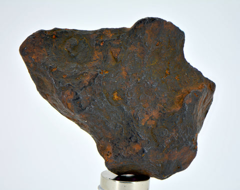 24.4 gram CANYON DIABLO meteorite - IAB Iron Meteorite