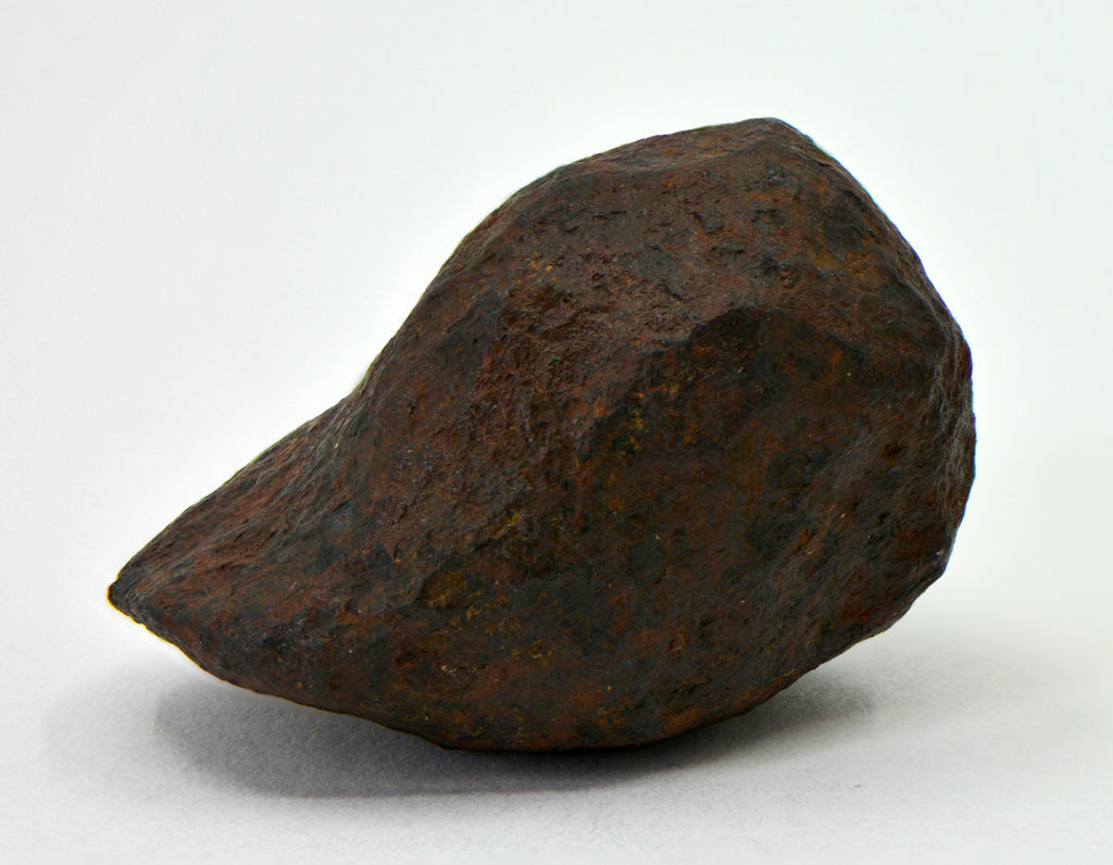 36.4 gram MUNDRABILLA meteorite - Iron Meteorite – Top Meteorite