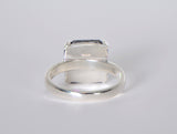 Beautiful Etched MUONIONALUSTA Meteorite Ring I Size 7.75 - Meteorite Jewelry
