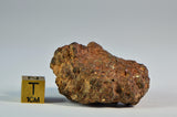 43.9g Eucrite Polymict | NWA 11341 Meteorite | Collector's Specimen