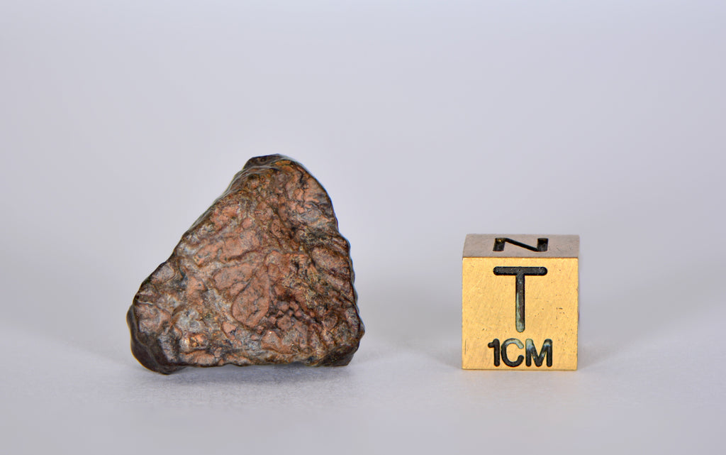 ラガッツアイタリアーナ NWA11788_21_7.