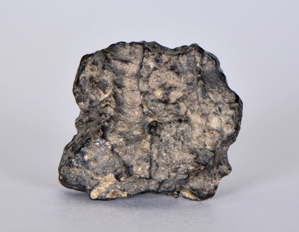 8.01g Lunar Meteorite I Lunar Breccia I NWA 11788 – Top Meteorite