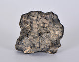 8.01g Lunar Meteorite I Lunar Breccia I NWA 11788