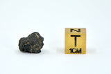 1.11g Carbonaceous Chondrite C3-ung I NWA 12416