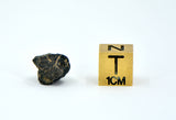 1.11g Carbonaceous Chondrite C3-ung I NWA 12416