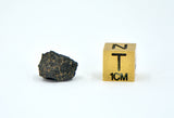 1.11g Carbonaceous Chondrite C3-ung I NWA 12416