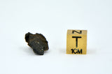 1.16g Carbonaceous Chondrite C3-ung I NWA 12416