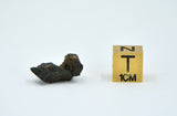 1.16g Carbonaceous Chondrite C3-ung I NWA 12416