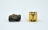 1.36g Carbonaceous Chondrite C3-ung I NWA 12416