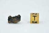 1.36g Carbonaceous Chondrite C3-ung I NWA 12416