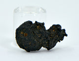 1.44g Carbonaceous Chondrite C3-ung I NWA 12416