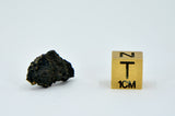 1.46g Carbonaceous Chondrite C3-ung I NWA 12416