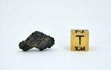 1.46g Carbonaceous Chondrite C3-ung I NWA 12416
