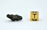 1.46g Carbonaceous Chondrite C3-ung I NWA 12416