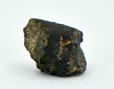 1.66g Carbonaceous Chondrite C3-ung I NWA 12416