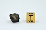 1.66g Carbonaceous Chondrite C3-ung I NWA 12416