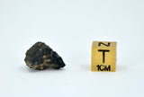 2.06g Carbonaceous Chondrite C3-ung I NWA 12416