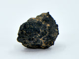 2.06g Carbonaceous Chondrite C3-ung I NWA 12416