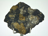 11.24g Eucrite Slice Monomict Basaltic Breccia