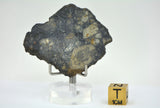 11.24g Eucrite Slice Monomict Basaltic Breccia