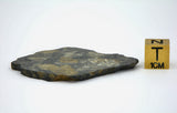 11.24g Eucrite Slice Monomict Basaltic Breccia