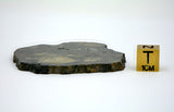 22.70g Eucrite Slice Monomict Basaltic Breccia
