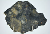 8.19g Eucrite Slice Monomict Basaltic Breccia