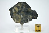 8.19g Eucrite Slice Monomict Basaltic Breccia