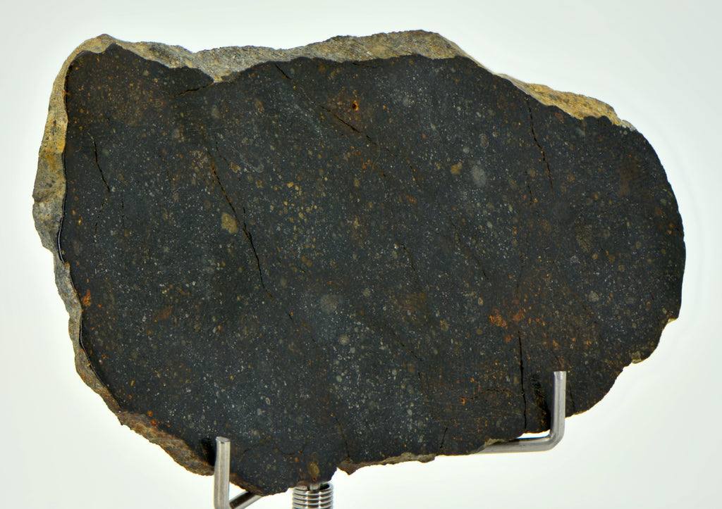 33.5g NWA 12925 I Carbonaceous Chondrite with Very Fresh