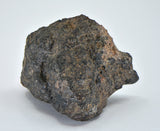 31.09g LL3.5 Type 3 Chondrite End Piece
