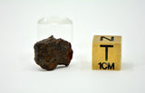 1.75g Mesosiderite Meteorite I NWA 8291