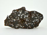 2.97g Mesosiderite Meteorite I NWA 8291