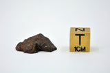 3.29g Mesosiderite Meteorite I NWA 8291