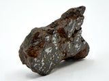 7.26g Mesosiderite Meteorite I NWA 8291