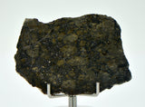 14.5g Eucrite Monomict Slice | HED NWA 8555