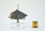 2.62g Eucrite Monomict Slice | HED NWA 8555