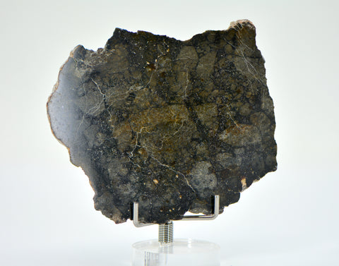 22.46g Eucrite Monomict Slice | HED NWA 8555